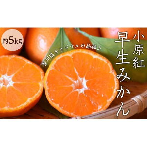 yӂ邳Ɣ[Łzg݂ 5kgi30`60j | 쌧 os  l 񂹃O  O Hi t[c ʕ  ݂ ~J  ݂ 킹~J