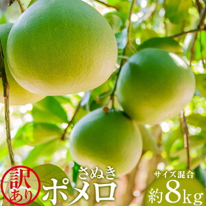 yӂ邳Ɣ[Łzy󂠂zʂ|@8kgiTCYj | t[c ʕ  Hi lC  