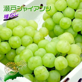 【ふるさと納税】《2025年発送》香川産のもぎたて瀬戸ジャイアンツ2kg【ご家庭用】 | フルーツ 果物 くだもの 食品 人気 おすすめ 送料無料 お楽しみ