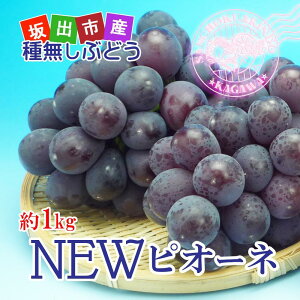 yӂ邳Ɣ[Łzs2025Ntj[sI[l Gi 2kg ( 3 ~ 5[ ) bԂǂ Y lCi | t[c ʕ  Hi lC  