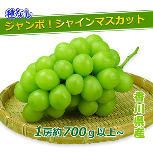 yӂ邳Ɣ[Łzs2025NtGiVC}XJbg ( 1[ 700gȏ ) Ԃǂ }XJbg 쌧Y | t[c ʕ  Hi lC  