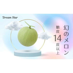 yӂ邳Ɣ[Łzy2026N5ȍ~zʂ Dream Star 1.3kgȏb x 14xȏ Â t[c ʕ  Y ӂ邳 os  ʂ Hi lC   | 