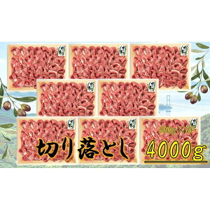 yӂ邳Ɣ[ŁzeʁI[u؂藎Ƃ4000g |   ɂ Hi 쌧Y lC   Mtg