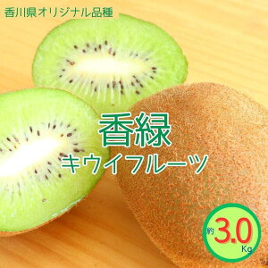 yӂ邳Ɣ[Łzst@2025N΁@LECt[c 3.0kg | t[c ʕ  Hi lC  