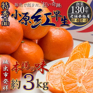 yӂ邳Ɣ[ŁzGiIg݂@3kgyo˂̐^gȂz