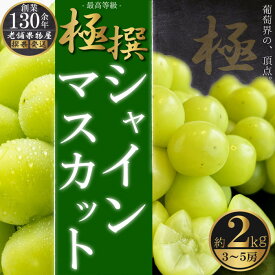 【ふるさと納税】極撰！シャインマスカット　約2kg（3～5房） | シャインマスカット マスカット ぶどう 葡萄 ブドウ フルーツ 果物 くだもの 新鮮 おいしい 食品 人気 おすすめ 香川県 坂出市 送料無料