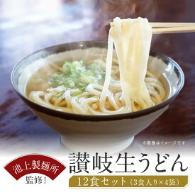 【ふるさと納税】讃岐生うどん12食入（1袋3食入×4袋）＊鎌田醤油だし醤油付＊ 池上製麺所監修！｜うどん 生麺 | 香川県 坂出市 讃岐うどん さぬきうどん 生うどん めん 麺 池上製麺所 常温 お取り寄せグルメ 取り寄せ グルメ ご当地グルメ ご自宅用 家庭用 釜玉うどん