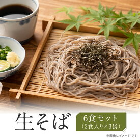 【ふるさと納税】生そば 麺のみ 6食（180g×3袋）｜そば 生麺 | 蕎麦 そば ソバ 生蕎麦 麺 食品 加工食品 香川県 坂出市 人気 おすすめ 送料無料
