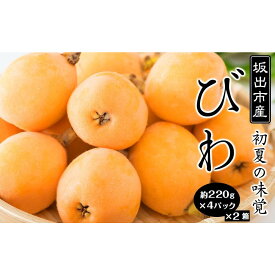 【ふるさと納税】びわ 坂出市産 約1.8kg ( 4パック× 2箱 )｜初夏の味覚 | フルーツ 果物 くだもの 食品 人気 おすすめ 送料無料