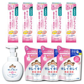 【ふるさと納税】オリジナルDセット「システマハグキプラスハミガキ90g×5本＆キレイキレイ泡ハンドソープ本体1本（250ml）＆詰替え（200ml×3パック）」