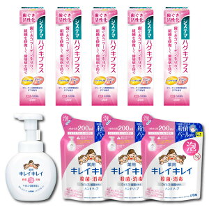 【ふるさと納税】オリジナルDセット「システマハグキプラスハミガキ90g×5本&キレイキレイ泡ハンドソープ本体1本(250ml)&詰替え(200ml×3パック)」