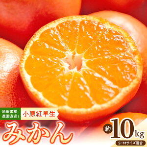 yӂ邳Ɣ[Łzcʎ_I g݂ 10kgiS~MTCYjʌ