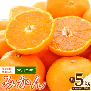 yӂ邳Ɣ[Łzcʎ_I {쑁݂ 5kgiS~MTCYjʌ