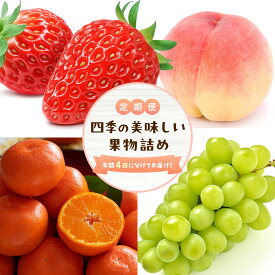 【ふるさと納税】＜定期便＞四季の美味しい果物詰め　年間4回に分けてお届け！ | フルーツ 果物 くだもの 食品 人気 おすすめ 送料無料