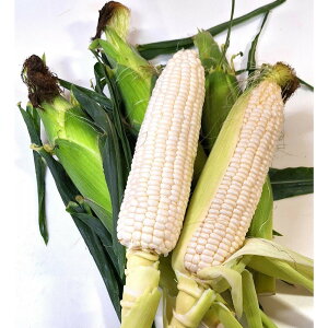 yӂ邳Ɣ[ŁzƒpוzCgR[@3.5kg×2