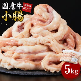 【ふるさと納税】《業務用・訳アリ》国産牛　小腸　1kg～10kg | 肉 お肉 にく 牛肉 小腸 ホルモン 訳あり 訳アリ 業務用 国産牛 食品 人気 おすすめ 送料無料 ギフト