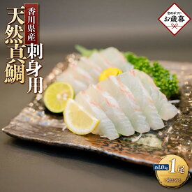 【ふるさと納税】【お歳暮ギフト】天然真鯛 刺身用　1尾（4～5人前）