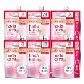 【ふるさと納税】【新パッケージ】hadakara（ハダカラ）ボディソープ　泡で出てくるタイプ　フローラルブーケの香り　詰替え750ml 6袋パック | 石鹸 スキンケア 洗浄 ボディケア 人気 おすすめ 送料無料