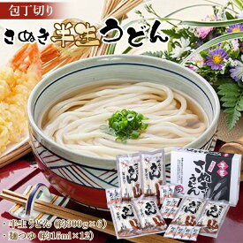【ふるさと納税】包丁切りさぬき半生うどん【半生うどん（約300g×6）、麺つゆ（約15ml×12）】 | 麺 食品 加工食品 人気 おすすめ 送料無料