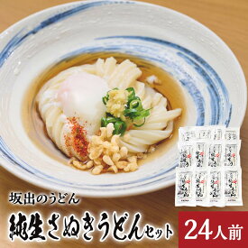 【ふるさと納税】【坂出のうどん】純生さぬきうどんセット　　純生うどん250g、だし2人前付×12袋 | 日の出製麺所 日の出製麺 うどん 讃岐うどん さぬきうどん 麺 麺類 ご当地グルメ 香川県 坂出市 送料無料
