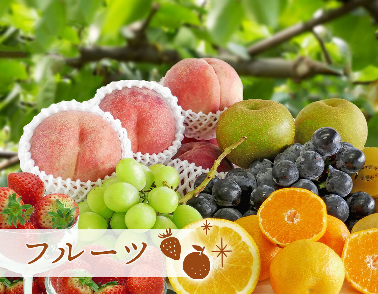 楽天市場】【ふるさと納税】【定期便3回】創業100年 産直あきんど四季のフルーツの定期便《3ヶ月連続でお届け》 | 香川県 坂出市 四国 フルーツ  定期便 果物 くだもの 季節のフルーツ 果物詰め合わせ 旬の果物 産地直送 フルーツ詰め合わせ お取り寄せ 盛り合わせ 自宅用 ...