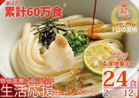 【ふるさと納税】期間限定！【1～3ヶ月で発送】さぬき生うどん24食セット（2人前×12袋）