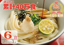 【ふるさと納税】さぬき生うどん6食セット（2人前×3袋）【1〜2ヶ月程度で発送】