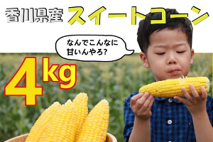 yӂ邳Ɣ[Łzs\tJnI2026NY@PʎsYXC[gR[ 4kg