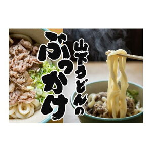 【ふるさと納税】山下うどん(3)(28食)