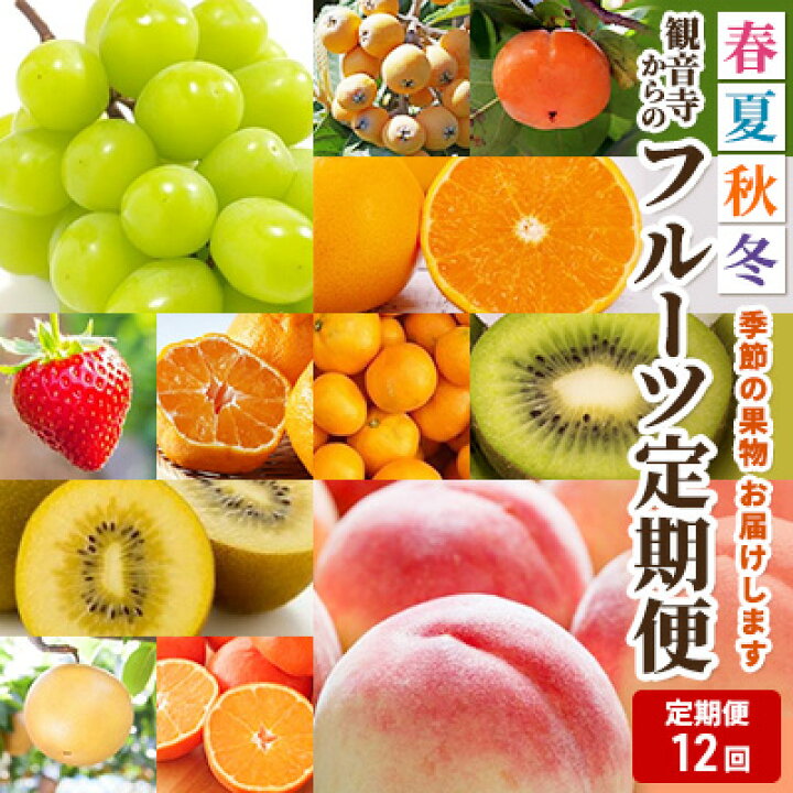 永遠の定番 フジカワ果樹園オリジナル 季節の柑橘 fucoa.cl 永遠の定番 フジカワ果樹園オリジナル 季節の柑橘 fucoa.cl