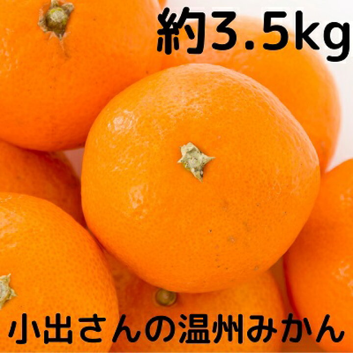 楽天市場】【ふるさと納税】小出さんの温州 みかん 約3.5Kg 【果物類・柑橘類・みかん・フルーツ】 お届け：2021年11月中旬〜12月下旬 :  香川県観音寺市