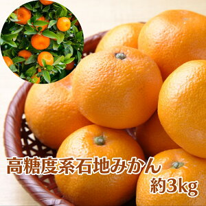 yӂ邳Ɣ[Łz2025NH肨͂ xnΒn݂ 3kg k t[c ʕ ~J @͂F2025N12{`12{