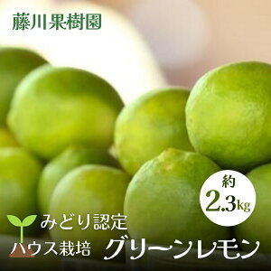 yӂ邳Ɣ[Łzy2025N s\z݂ǂF nEX͔|O[ 2.3kg Y  ʕށ^kށ^݂ @ @͂F2025N10{`11{