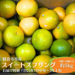 yӂ邳Ɣ[ŁzXC[gXvO 5kg ʕށ^݂^kށ^t[c@ @͂F2026N1{`2{