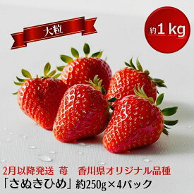【ふるさと納税】【2月より発送開始】いちご「さぬきひめ」大粒 約1kg 【配送不可エリア】北海道、 沖縄県、離島エリア 果物類 苺 イチゴ フルーツ 4パック 　お届け：2026年2月上旬～5月下旬