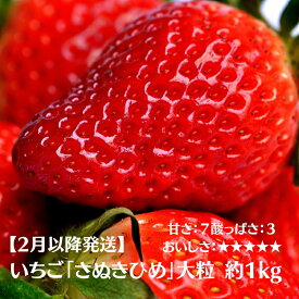 【ふるさと納税】【2月以降発送】いちご「さぬきひめ」大粒 約1kg 苺専門農家より直送　【果物類・いちご・苺・イチゴ・フルーツ・4パック】　お届け：2024年2月上旬～5月中旬