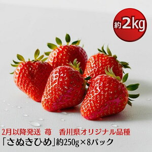 yӂ邳Ɣ[Łzy2蔭JnzuʂЂ߁v2kg@yzsGAzkCAꌧAGA ʕށ^^䕁^C`S^t[c@ @͂F2026N2{`5