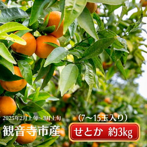 yӂ邳Ɣ[ŁzsƂ낯t Ƃ 3kg Â ݂ i    Ƃ݂ Ƃӂ邳Ɣ[ Gߌ k  񂫂 t[c  ʕ  