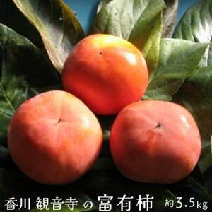 yӂ邳Ɣ[ŁzxL` 3.5kg ʕ t[c^`@ @͂F2025N11{`12{