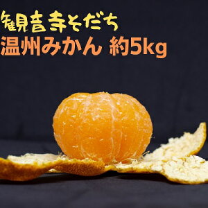 yӂ邳Ɣ[ŁzB݂ 5kg ʕ k t[c ~J  @͂F2025N11{`2026N1{