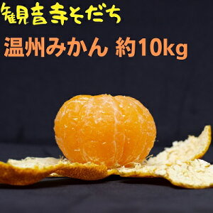 yӂ邳Ɣ[ŁzB݂ 10kg ʕށ^݂ k t[c ~J  @͂F2025N11{`2026N1{