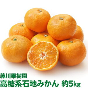 yӂ邳Ɣ[Łz2025NH肨͂ nΒn݂ 5kg ʕށ^݂ k t[c ~J  @͂F2025N12{`12{