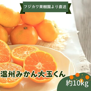 yӂ邳Ɣ[Łz2025NH肨͂ B݂ʂ@10kg ʕ k t[c  ~J  @͂F2025N10{`11{