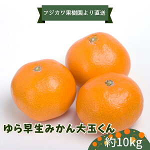yӂ邳Ɣ[Łz2025NH肨͂ 瑁݂@ʂ@10kg ʕ k t[c ~J   @͂F2025N10{`10{