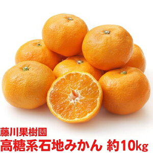 yӂ邳Ɣ[Łz2025NH肨͂ xnΒn݂ 10kg ʕ k t[c ~J   @͂F2025N12{`12{