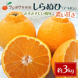 �y�ӂ邳�Ɣ[�Łz2026�N��s�\�� �������I�]�� ����ʂЁ@��3kg �ʕ��� �݂��� ���k�� �f�R�|���@ �@���͂��F2026�N2�����{�`3�����{