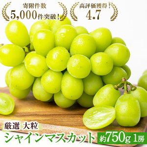 yӂ邳Ɣ[Łz嗱 I [VC}XJbg 750g 1[ Ԃǂ ʕ t[c Ȃ @͂F2025N8{`10{
