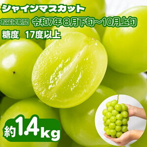 yӂ邳Ɣ[ŁzsNxQtVC}XJbg 1.4kg 2`4[ Ԃǂ 쌧Y Ȃ ʕ  t[c Â  ① Ԍ N  ] ̂ꂽ YnI 