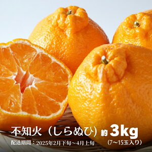 yӂ邳Ɣ[Łzsm΁iʂЁj3kg ʕ ݂ k fR| t[c @͂F2026N2{`4{