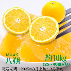 yӂ邳Ɣ[Łz@10kg ʕ ݂ k t[c @͂F2026N3{`4{
